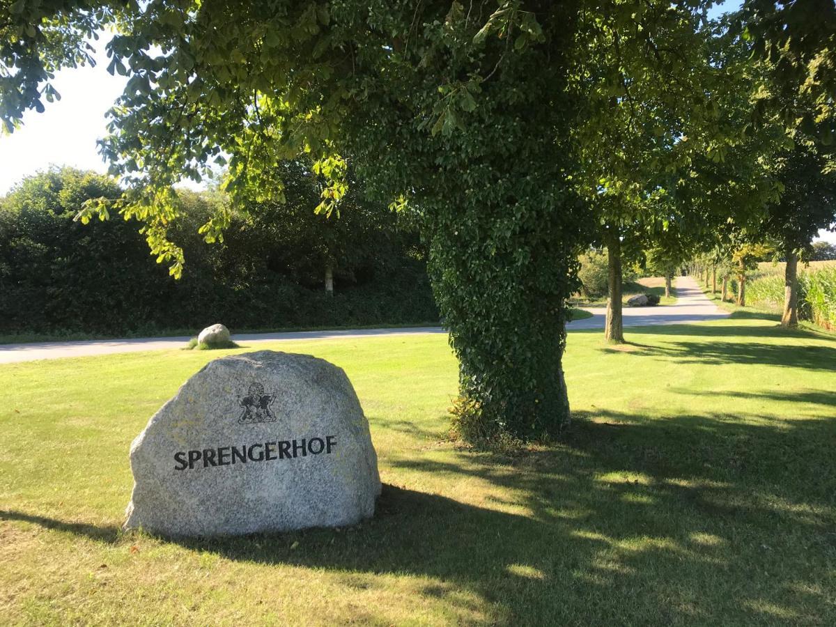 Schmuckstueck In Ostseenaehe Surendorf Extérieur photo